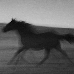 1lknur7's profile picture. İyilik iyidir. 🇵🇸