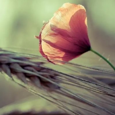 beginnet9's profile picture. 