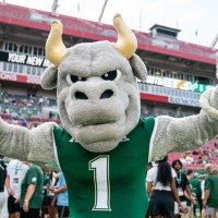 Rocky D. Bull (@rockyd_bull) 's Twitter Profile
