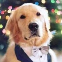 Kudah (@kud4h) 's Twitter Profile