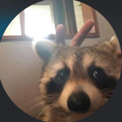 triz_ssant's profile picture. 🍄