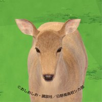なみちゃん⚽Ⓜ️@イサノコノコノココシタンタン (@namityan_e_u) 's Twitter Profile