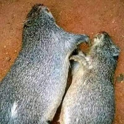 HelpedByGod247's profile picture. 