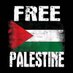 Free Palestine 🇵🇸 (@meganfrowe) Twitter profile photo