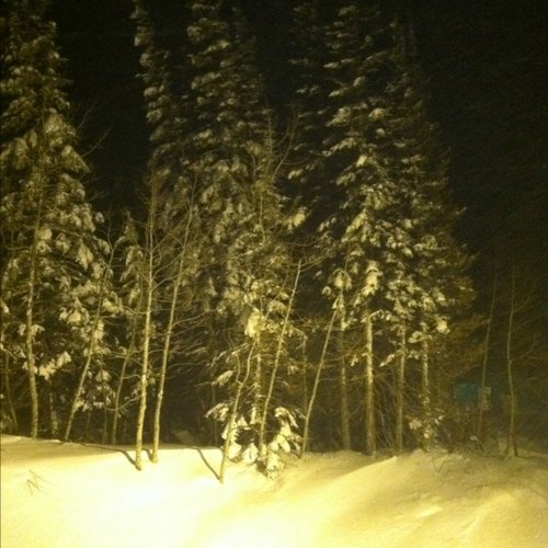 BallKirstin's profile picture. 