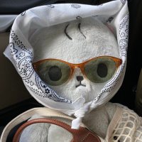 mtrd ˗ˏˋ ६ ͇♞͂ۜ ˑ̫♞͂ƫ✧ (@fluffycloudday) 's Twitter Profile
