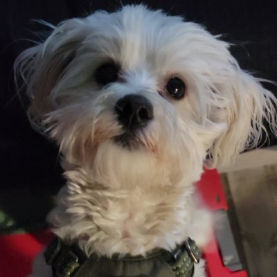 Mtlbyrd's profile picture. Husband,Dad,brother and son these things I'm dedicated to being the best at.