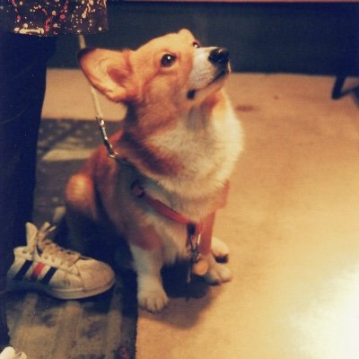 自問自答ファッションのアカウント。政治や社会問題についても、呟ける限り呟きたいと思っています。フィギュアスケートとかも好き。@skbnbnの別アカウントです。自問自答の過程をつぶやくようなので右往左往します。