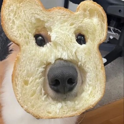 __zwx__5's profile picture. #레드부스터스