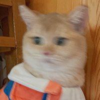 User_EmeraldCarbuncle (@emeraldwan34590) 's Twitter Profile Photo