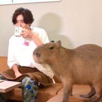 고도희 (@godohee_) 's Twitter Profile