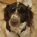 leemons (@nakedleemons) Twitter profile photo leemons (@nakedleemons) Twitter profile photo