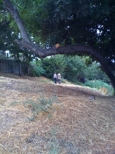 Fifthfromthetop's profile picture. 