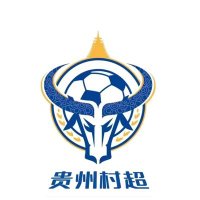 Village Super League(@ChinaCunChao) 's Twitter Profile Photo