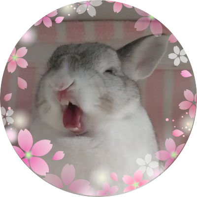yuka🐰兎々はチモシー大食いファイター⛥さんのプロフィール画像