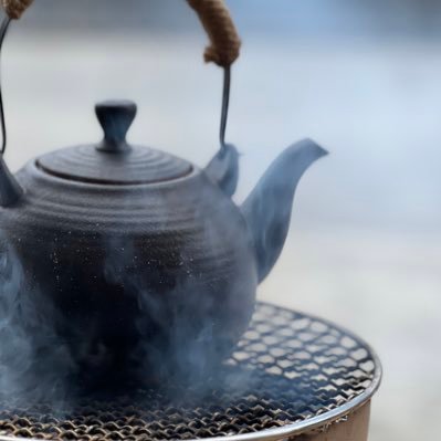 chenyingdi7777's profile picture. 