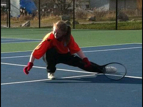 PhoenixLawrey's profile picture. 