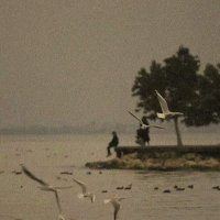 مُنىٰ (@k_anuom) 's Twitter Profile