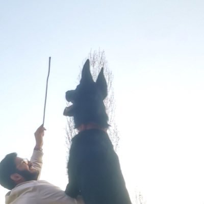 jivkovkr's profile picture. 