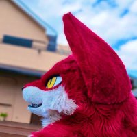 ルディ＠ロケット団員のマニューラ (@rudeli0335) 's Twitter Profile Photo