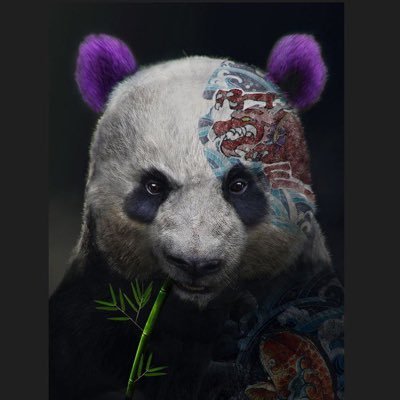 a_dega's profile picture. Panda DAO