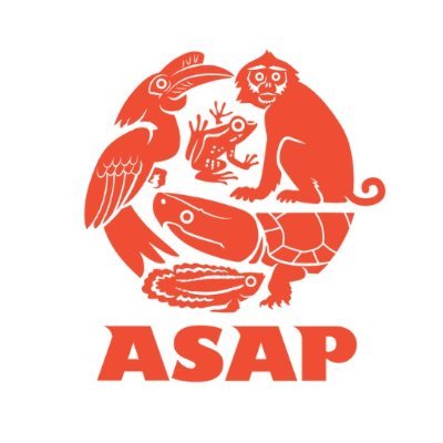 ASAP Profile