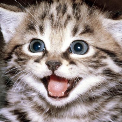 Akeolxero's profile picture. Womp Womp