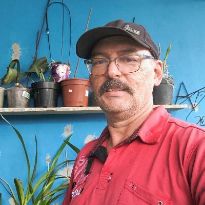 gualberto_35517's profile picture. 