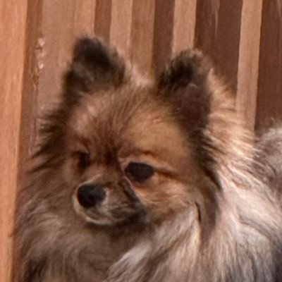 0625Techi0408's profile picture. 