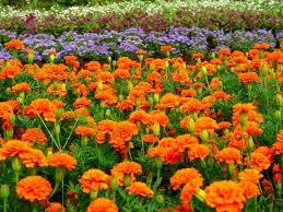 frosurclasixafr's profile picture. 映画/アニメ/特撮/StarTrek/StarWars/米TVドラマ/タルコフスキー/廿世紀のグラムロック等々。