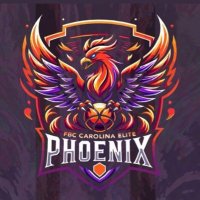 Lady Phoenix Basketball (@ladyphoenixbas) 's Twitter Profile