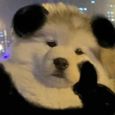 Pandogecall's profile picture. https://t.co/QvlPsYaQou