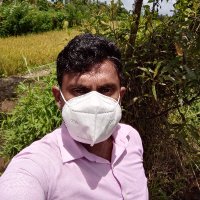 Udayanga (@udayangapras) 's Twitter Profile