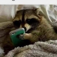 ridiculezaš (@ridiculeza) 's Twitter Profile