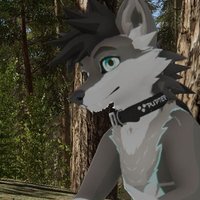 Grey Wild Wolf 🏳️‍🌈🍉(@GreyWildWolf39) 's Twitter Profile Photo