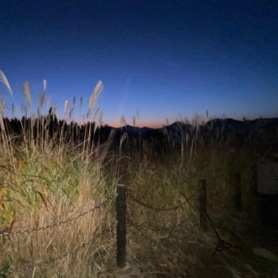 max157110's profile picture. ひっそりと生存 pt