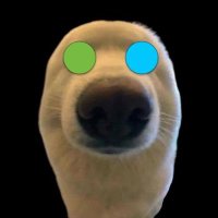 dude. bro. (@sanitize_me) 's Twitter Profile