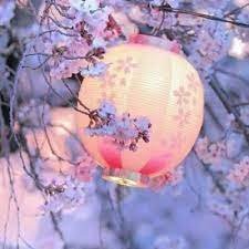 写真を撮るのが好きですね📷📷📷
美しい景色を見るたびに写真を撮ってしまいますよね✨
富士山🗻と桜が好きです🌸
#富士山 #桜
twitterで作品を発信し続けていますので、皆さんに喜んでいただけるといいですね😊😊
無言フォロー失礼します🙇‍
美しい風景や写真ももっと見たいですね❗
#写真 #風景 #撮影