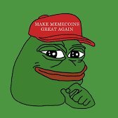 solanaairdr0p's profile picture. 