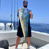 Josh Harris (@j65harris) 's Twitter Profile