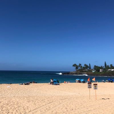 EuP31's profile picture. 