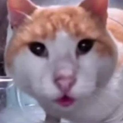 Parin_28's profile picture. 🤍 Where there is Light, there is Darkness.
Darkness calls the Light and the Light calls the Darkness. 🖤

- Nehelenia 💜