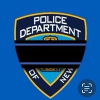 NYPD 113th Precinct(@NYPD113Pct) 's Twitter Profile Photo