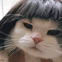 🌦️๋๋JJ✨ (@yu_jmayme) 's Twitter Profile Photo 🌦️๋๋JJ✨ (@yu_jmayme) 's Twitter Profile Photo