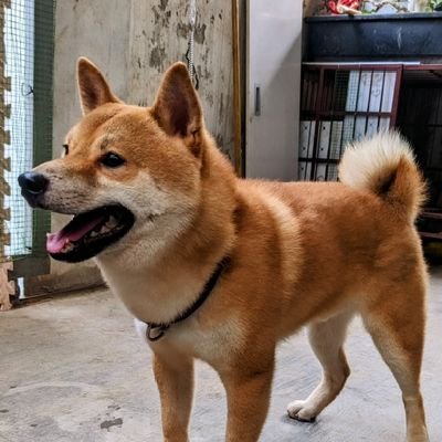 Ted_vn_91's profile picture. 