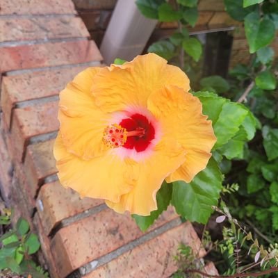 popcornfun1927's profile picture. 