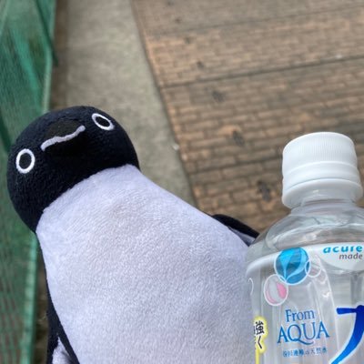 suipendepender's profile picture. SIT BR24(環シス) 芝鉄、軽同🎙🎸、勿来※名前変えるかもしれないです Instagram、Facebook、Bereal等他SNSを知りたい方は、DM下さい、多分教えます