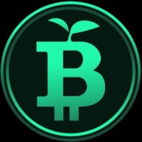 GreenBitcoin Official Support Team(@GreenBTC_dex) 's Twitter Profileg