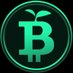 GreenBitcoin Official Support Team (@GreenBTC_dex) Twitter profile photo