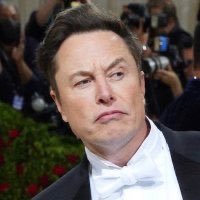 Elon Musk parody  fun account